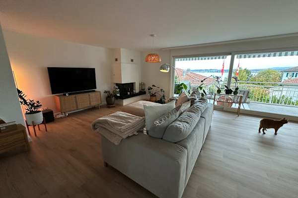 House sit in Lachen, Switzerland