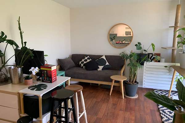 House sit in Newcastle, NSW, Australia