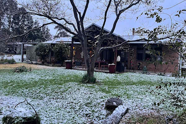 House sit in Bathurst, NSW, Australia