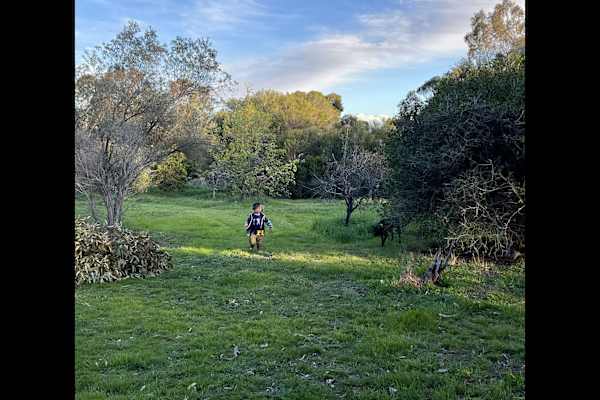 House sit in Melbourne, VIC, Australia