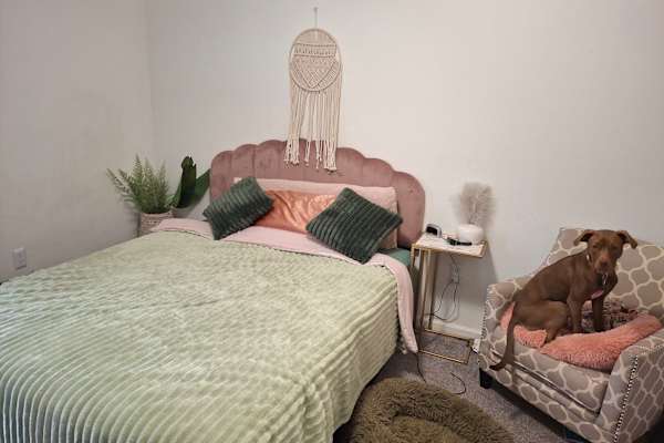 House sit in Walhalla, SC, US