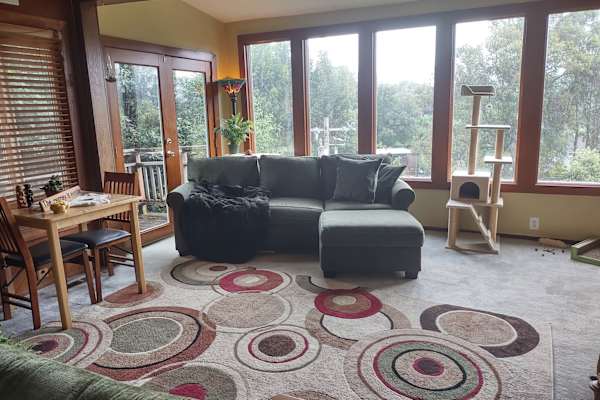 House sit in Mill Valley, CA, US