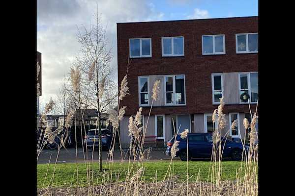 House sit in Rotterdam, Netherlands