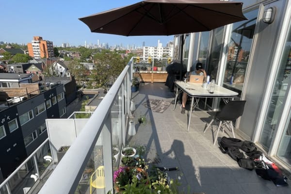 House sit in Toronto, ON, Canada