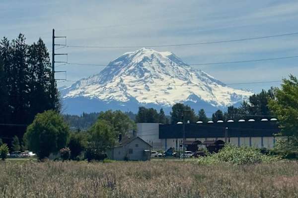 House sit in Puyallup, WA, US