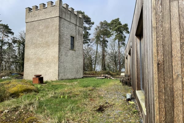 House sit in Borris, Ireland