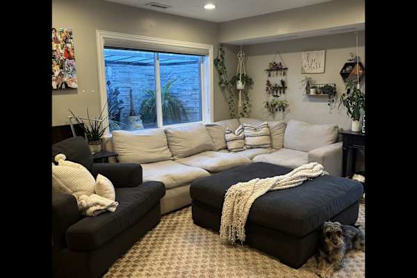 House sit in Salt Lake City, UT, US