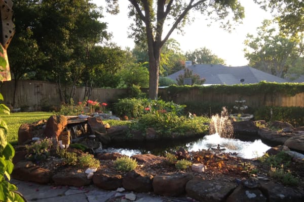 House sit in Dallas, TX, US