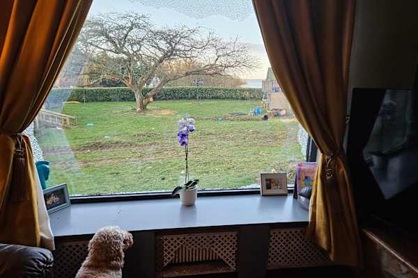 House sit in Ballyjamesduff, Ireland
