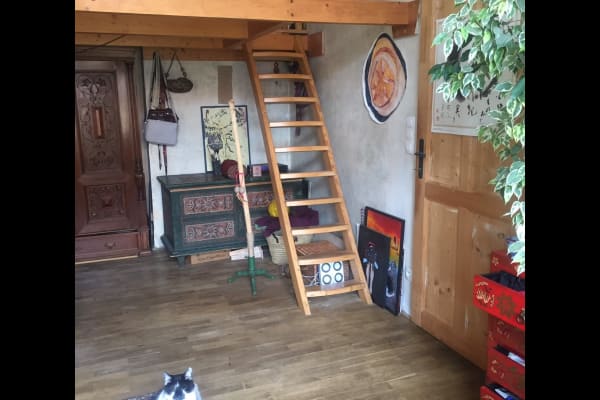 House sit in Prague, Czech Republic