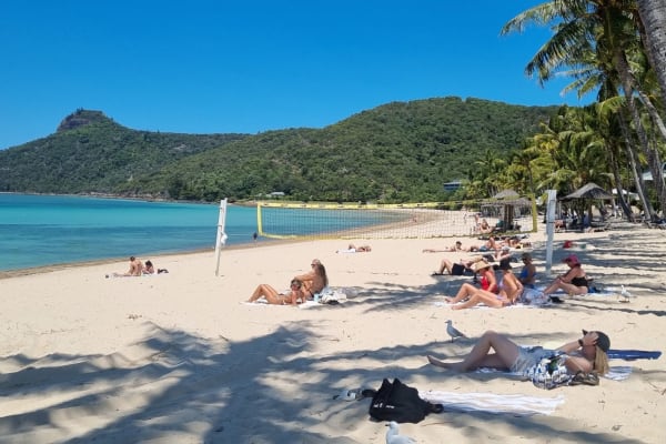 House sit in Airlie Beach, QLD, Australia