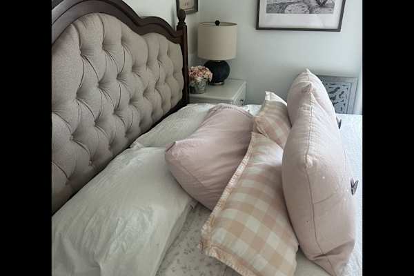 House sit in Orlando, FL, US