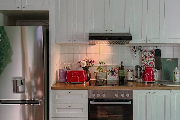 House sit in Cape Town, South Africa