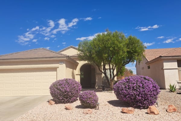 House sit in Las Vegas, NV, US