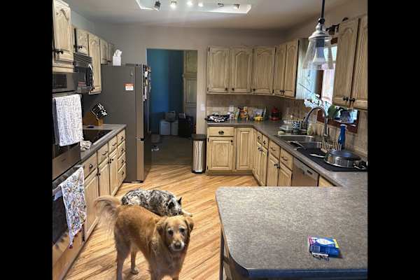 House sit in Pagosa Springs, CO, US