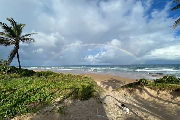 House sit in Salvador, Brazil