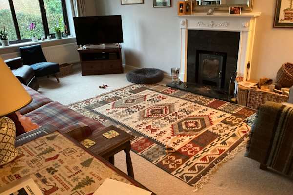 House sit in Norwich, United Kingdom