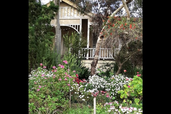 House sit in Perth, WA, Australia