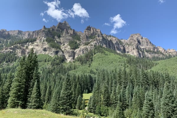 House sit in Montrose, CO, US