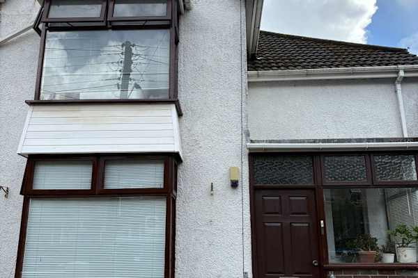 House sit in Swansea, United Kingdom