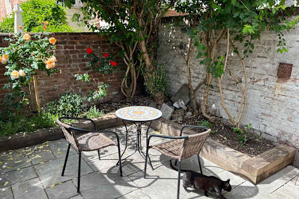 House sit in Exeter, United Kingdom