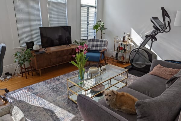 House sit in San Francisco, CA, US