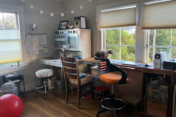 House sit in Oakland, CA, US