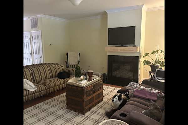 House sit in Charlottesville, VA, US