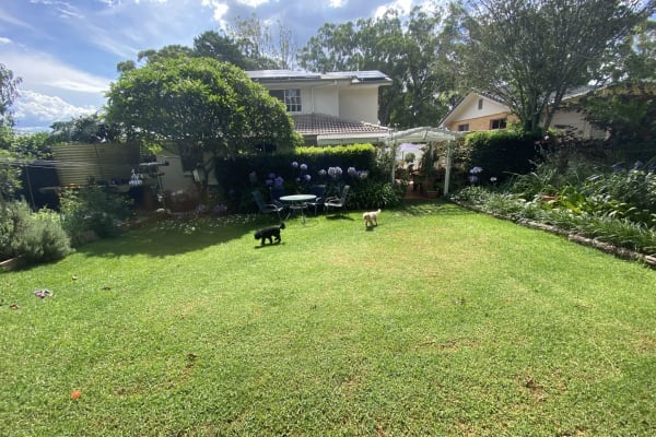 House sit in Toowoomba, QLD, Australia