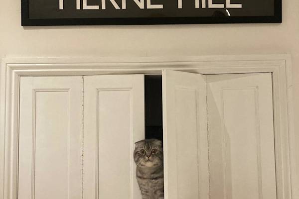 House sit in London, United Kingdom