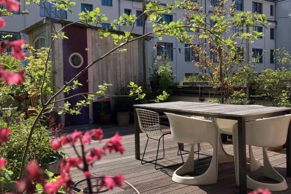 House sit in Köln, Germany