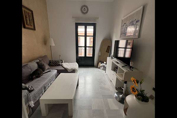House sit in Sevilla, Spain
