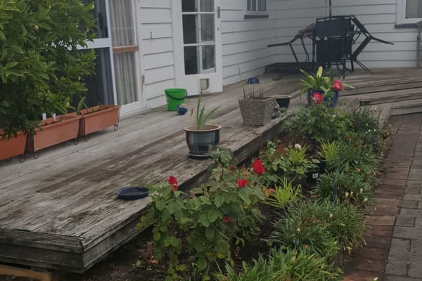 House sit in Gisborne, New Zealand