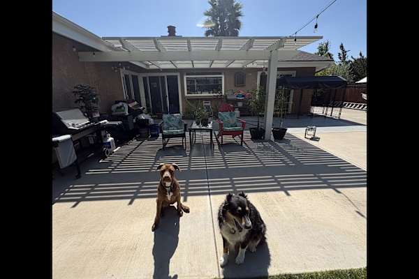 House sit in Paso Robles, CA, US