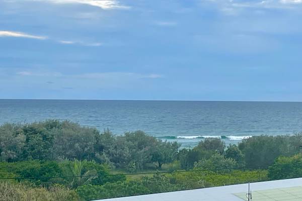 House sit in Noosa Heads, QLD, Australia
