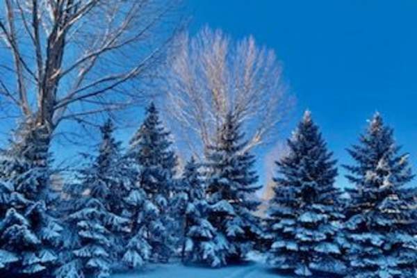 House sit in Vernal, UT, US