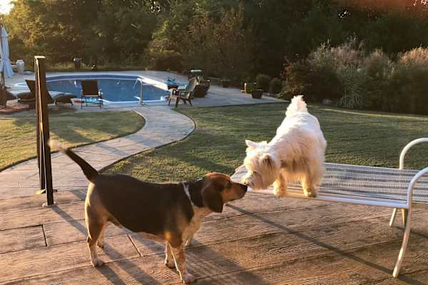 House sit in Clarksville, TN, US