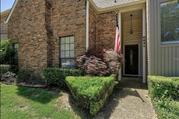 House sit in Richardson, TX, US