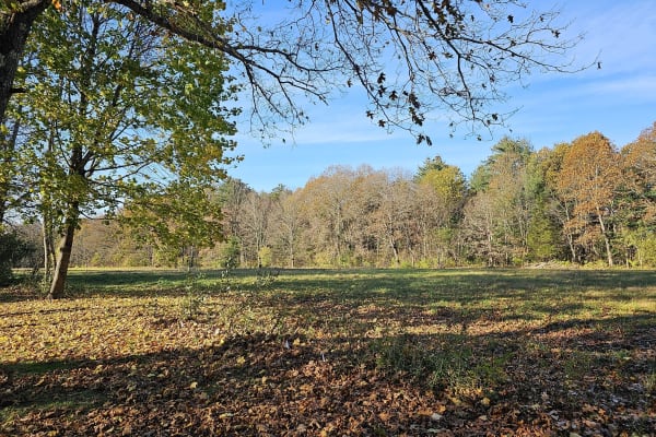 House sit in Concord, MA, US