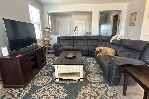 House sit in Tucson, AZ, US