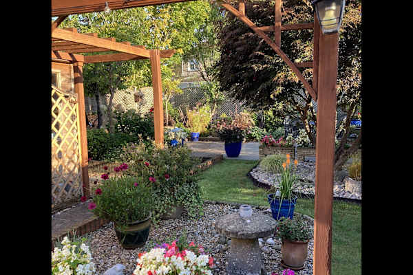 House sit in Cardiff, United Kingdom