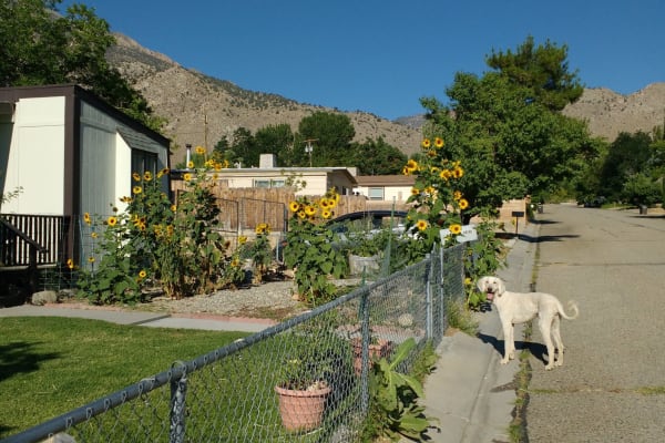 House sit in Bishop, CA, US