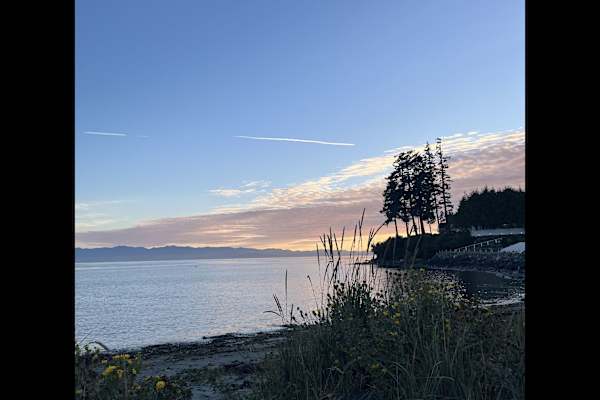 House sit in Victoria, BC, Canada