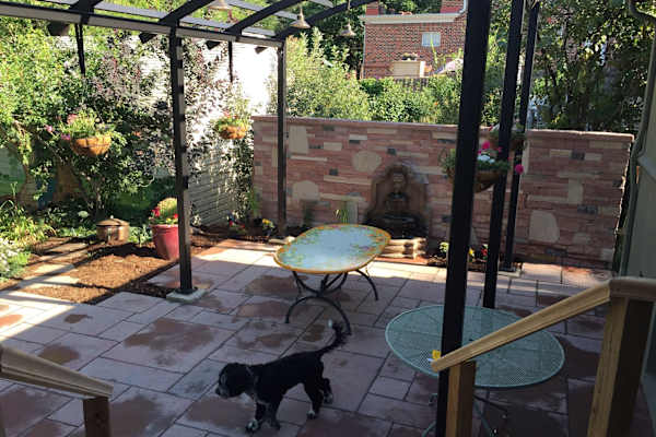 House sit in Louisville, CO, US