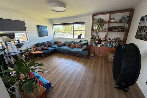 House sit in Auckland, New Zealand