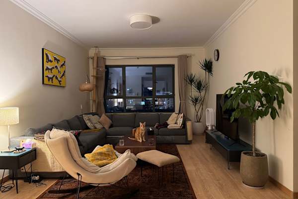 House sit in Beijing, China