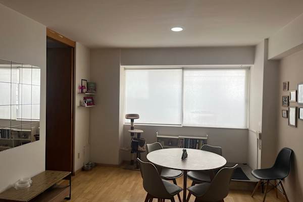 House sit in Mexico City, Mexico
