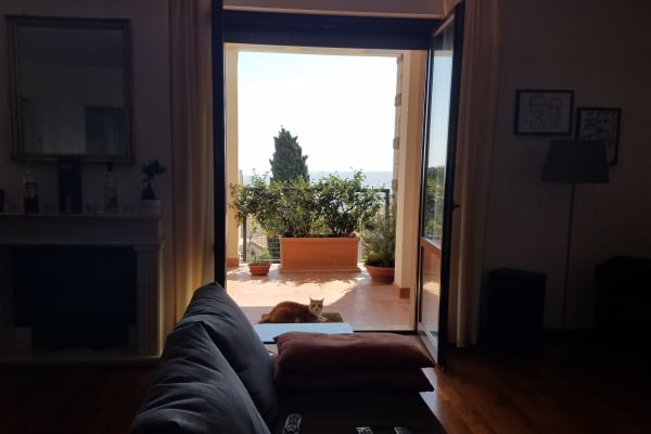 House sit in Recanati, Italy