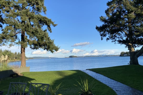 House sit in Victoria, BC, Canada