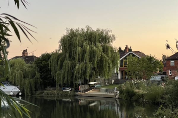 House sit in Oxford, United Kingdom